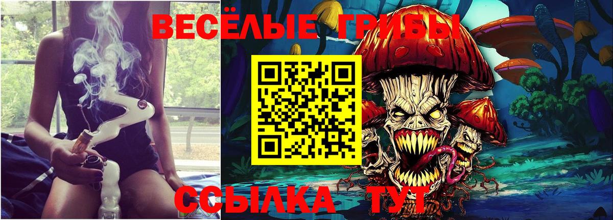 Зима  Псилоцибиновые грибы Cubensis  где найти   Вход с VPN 
